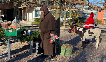 Keine Beschreibung