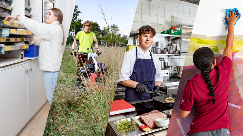 Lehrberufe_4-EFZ-Berufe_web